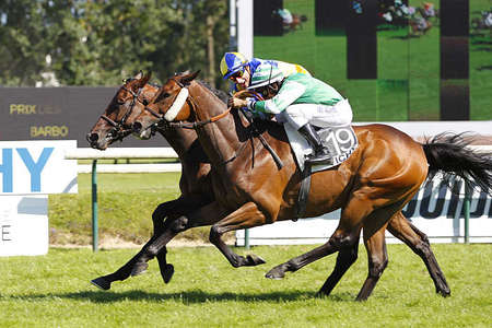 Actualités Hippiques